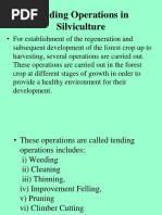 Tending Operations in Silviculture