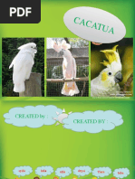 Download kakatua by Cahyaningtyas Rizki Dwi Mutiara SN57274166 doc pdf