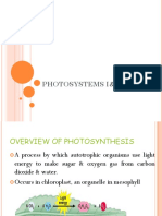 Photosystems I&ii