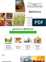 Energia Biomasa