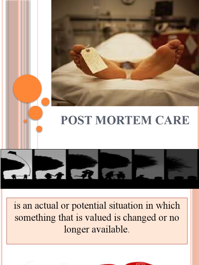 Post Mortem Questions To Ask Post Mortem Questionnaire Examples Kbqym 