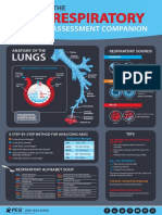 Assessment Companion: Lungs