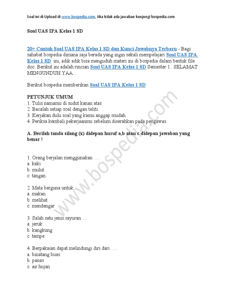 Asah Kemampuan Si Kecil: Contoh Soal UAS IPA Kelas 1 SD Semester 1 yang Menyenangkan dan Edukatif