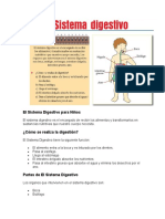 El Sistema Digestivo para Niños