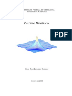 Introdução ao Cálculo Numérico