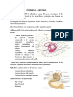 Sistema Limbico