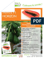 Fiche Papayer Horizon f1 Resistant Ring Spot Virus 1516117840
