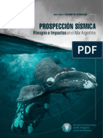 Prospeccion Sismica en El Mar Argentino - Riesgos e Impactos (FORO Mar Patagonico 2022) LR