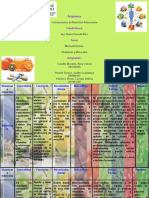 Vitaminas y Minerales