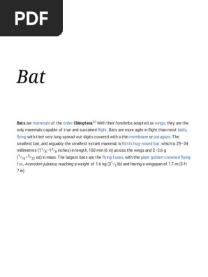 Bat - Wikipedia