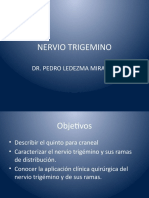 Nervio Trigemino