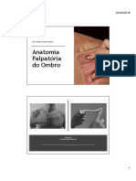 Anatomia palpatória do ombro: clavícula, escápula, músculos do ombro