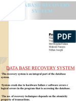 Database Recovery System: Presented By