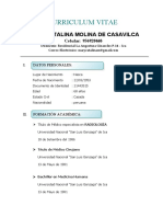 Curriculum Vitae Mary Catalina Molina de Casavilca