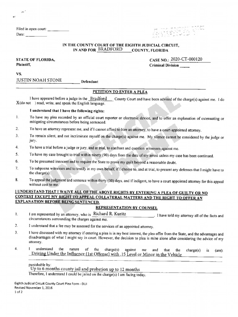 Justin Stone Misdemeanor DUI Guilty Plea | PDF