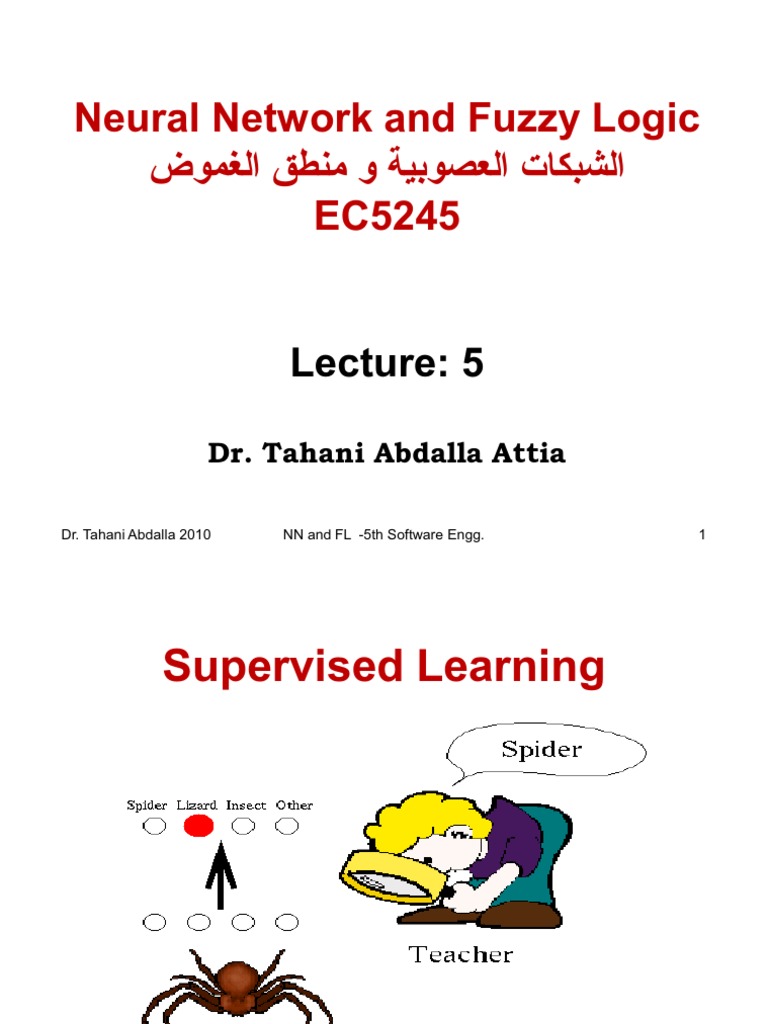 Neural Network and Fuzzy Logic (Lec5) | PDF