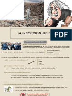 Inpección Judicial-Prueba Indiciaria-Presunciones y Prueba Por Informe