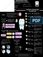 Infografia - Odontopediatria - Benites Mendez 02