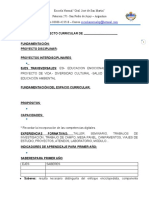 ESTRUCTURA PCI 2020 (2) (1)