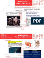 F1.3.fisiologia Celular - Celula y Membrana Celular. 11-02-2022
