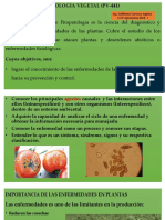 Clases de Patologia Vegetal