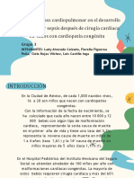 La Circulación Relacionada Con La Nutrición