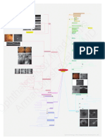 Mind Maps MD: (© 2020 American Academy of Ophthalmology)