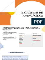 Biosintesis AA y Nucleótidos 2020