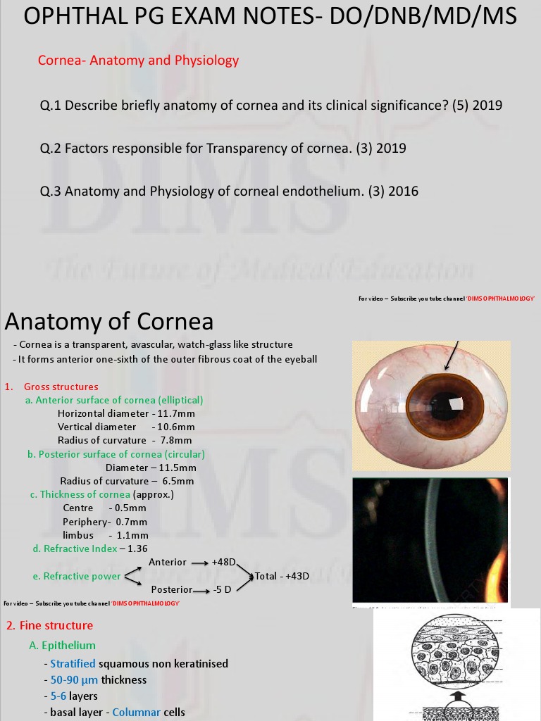 Cornea-Anatomy and Physiology | Descargar gratis PDF | Cornea | Human Eye