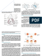 LTM 2 - Penyakit Jantung Koroner