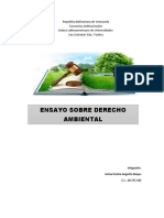 Ensayo Sobre Derecho Ambiental