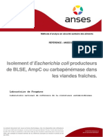 ANSES LMV 18 01v2 IsolementEcoliBLSEviande-verisone