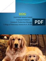 Danveer Singh Yadav Assistant Professor Livestock Production Management College of Veterinary Science & A. H (NDVSU) MHOW