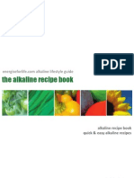 Alkaline Recipe Book Sample
