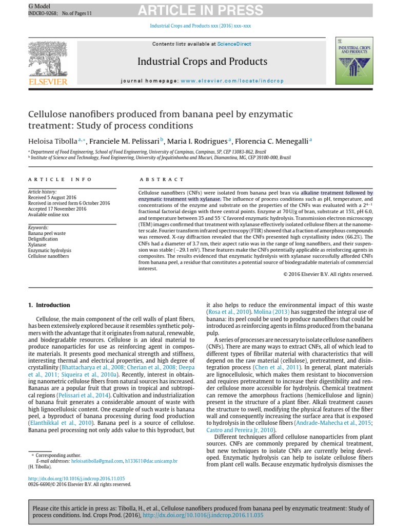 Cellulose Nanofibers Produced From Banana Peel by Enzymatic Treatment ...