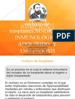 SINDROME INMUNOLOGICO ADQUIRIDO Y AMILOIDOSIS 