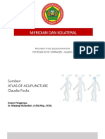 Meridian Dan Kolateral Pertemuan 2