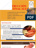 Obstruccion Intestinal Alta