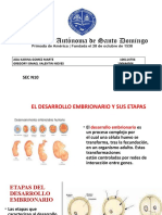 Desarrollo Embrionario y Sus Etapas