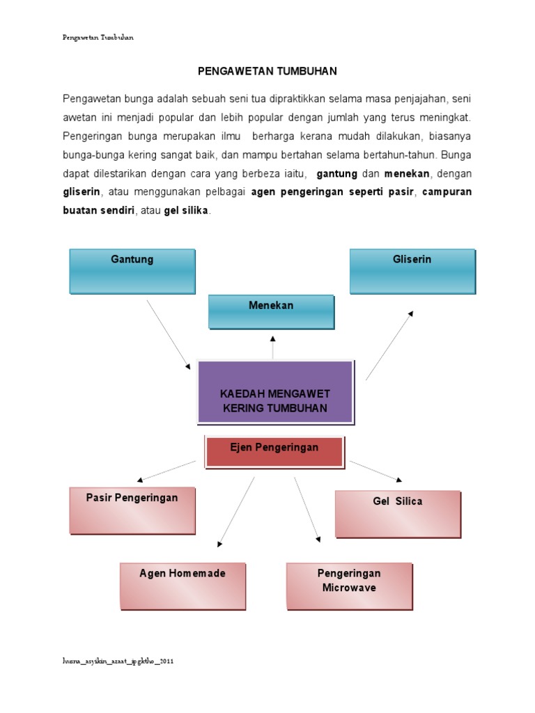 Cara pengawetan tumbuhan