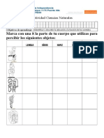 Actividad Ciencias Naturales 1