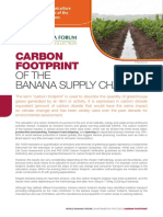 FAO - Carbon Fottprint of Banan