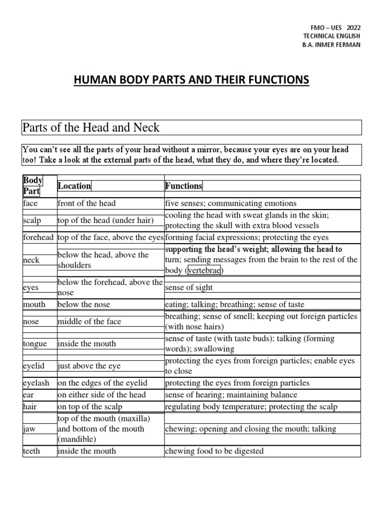 Human Body Parts and Their Functions PDF Human Body Hand
