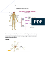 Exposición Sistema Nervioso Central