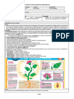 sesion caracteristicas de la planta