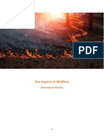 Whitepaper Final Wildfires Notrackedchanges