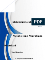 03 Metabolismo Microbiano