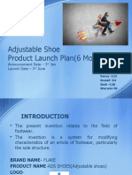 Adjustable Shoe Product Launch Plan (6 Months) : Announcement Date - 3 Jan Launch Date - 3 June