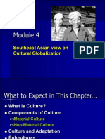 Module 4 - Southeast Asian View On Cultural Globalization