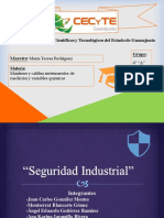 Seguridad Industrial 